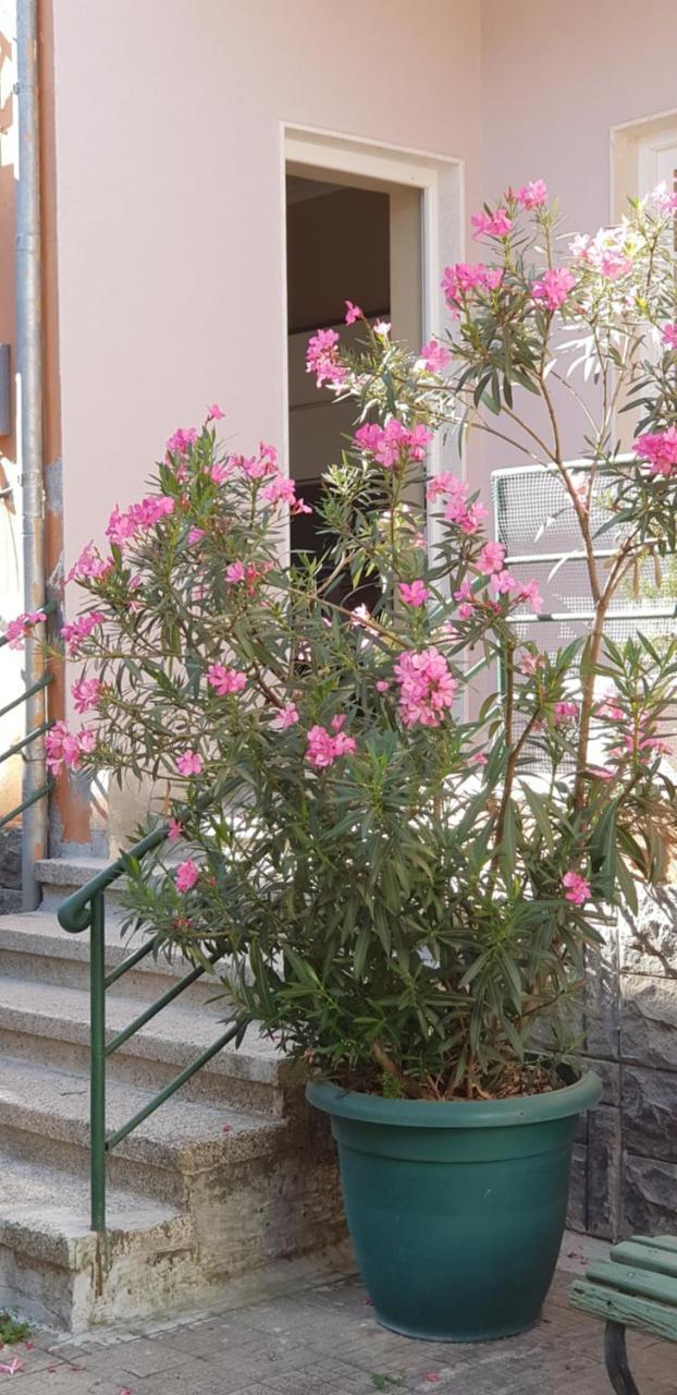 Bellesuite Tiranë Luaran gambar